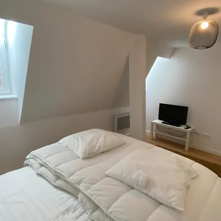 Chambre Hyper Centre-ville Au Coeur Des Marches De Noel Homestay *